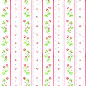 COLEÇÃO MORANGUINHO