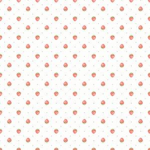 COLEÇÃO MORANGUINHO