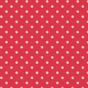 COLEÇÃO MORANGUINHO