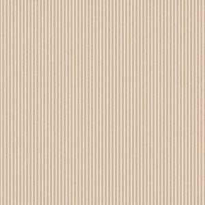 COLEÇÃO ARCA DE NÓE