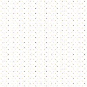 COLEÇÃO ARCA DE NÓE