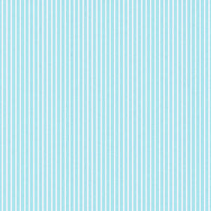 COLEÇÃO GANSO AZUL