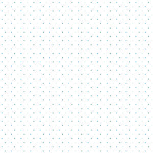 COLEÇÃO GANSO AZUL