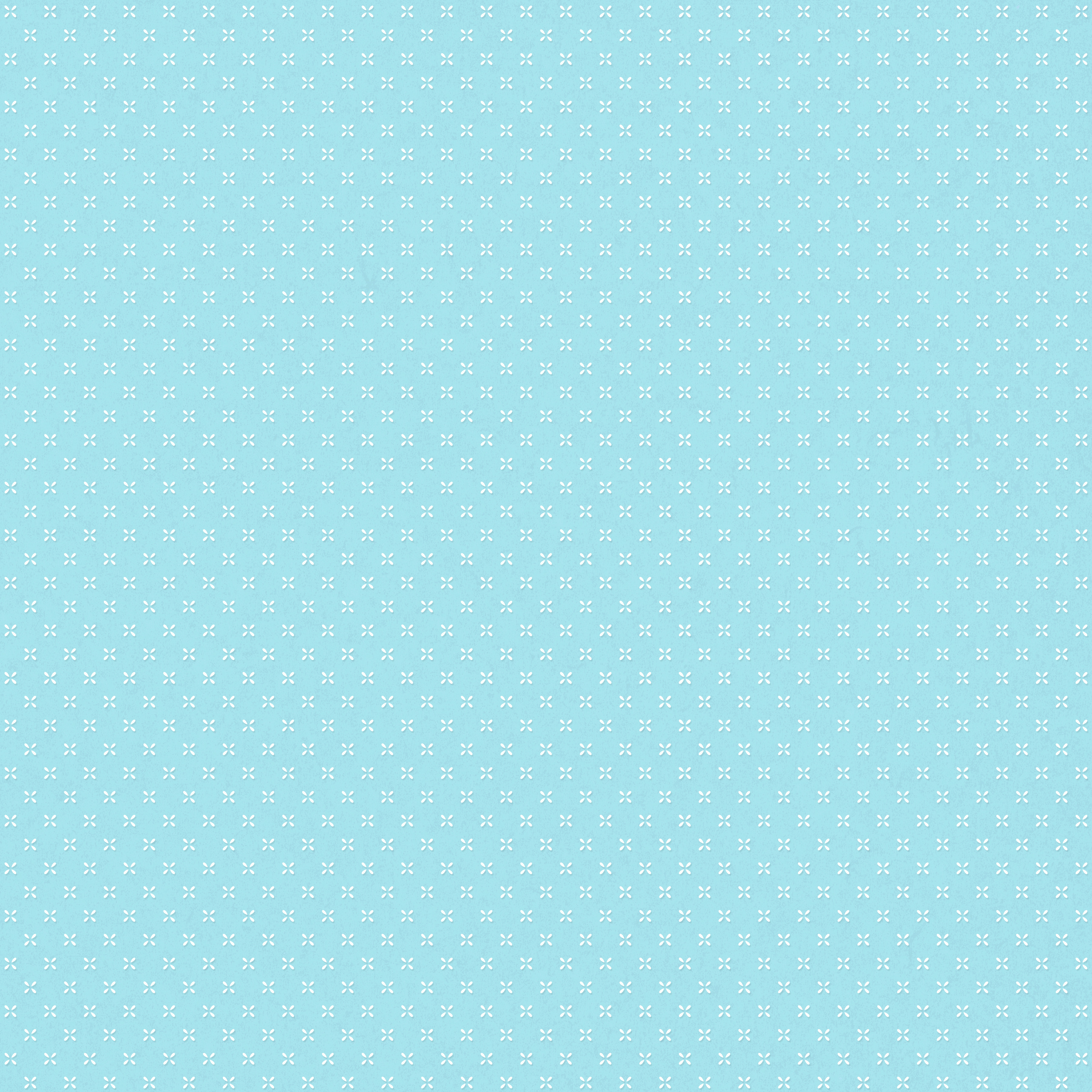 COLEÇÃO GANSO AZUL