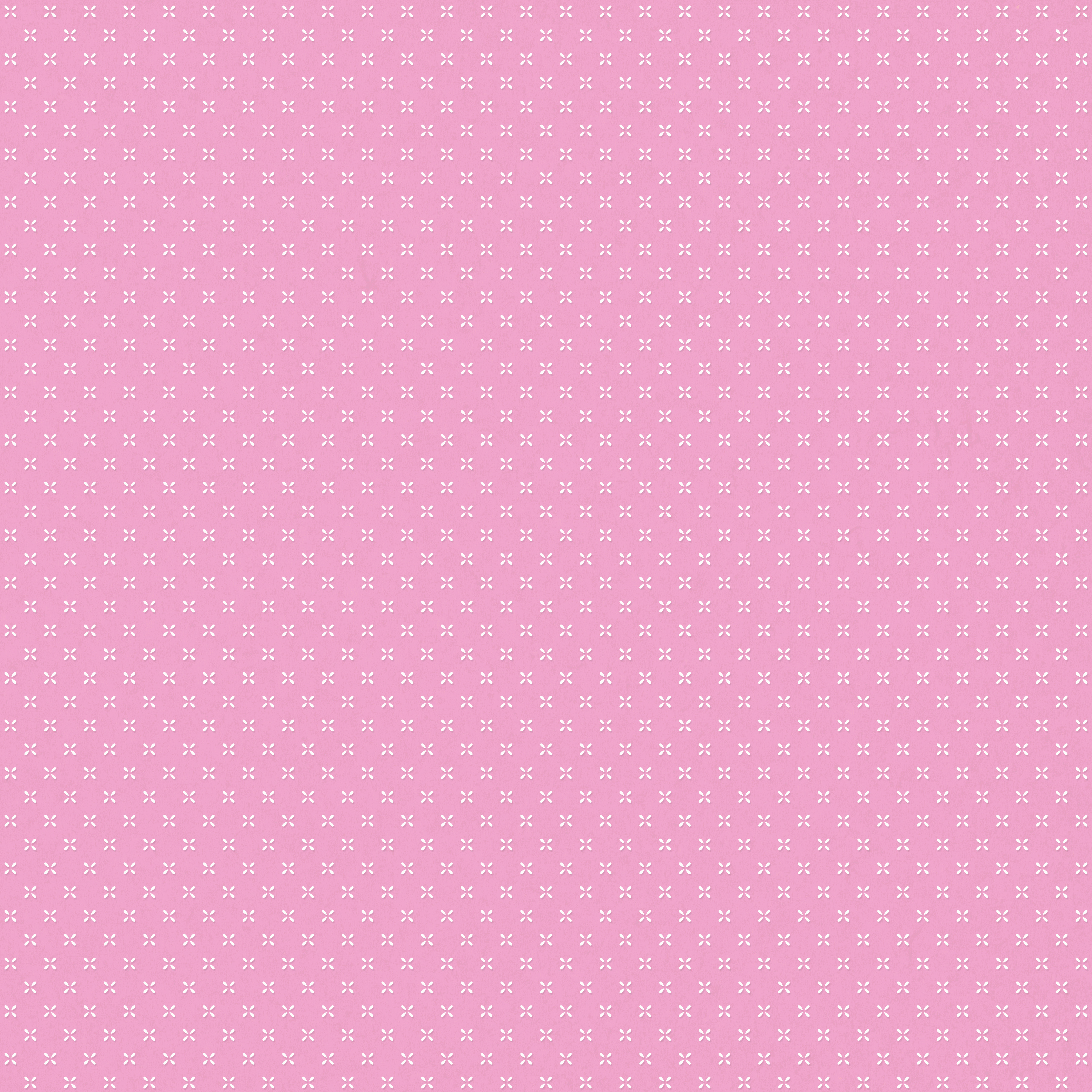 COLEÇÃO GANSO ROSA