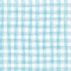 COLEÇÃO PARAQUEDISTA