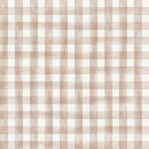 COLEÇÃO PARAQUEDISTA