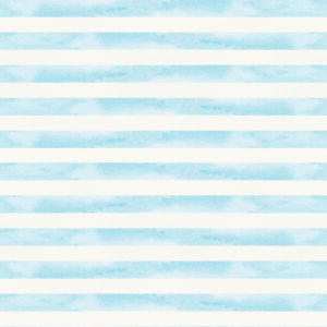 COLEÇÃO PARAQUEDISTA