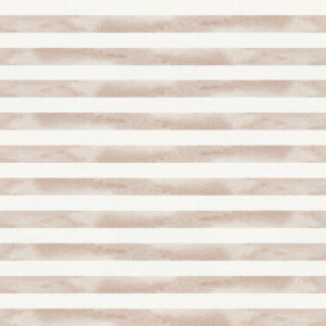 COLEÇÃO PARAQUEDISTA