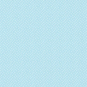 COLEÇÃO PARAQUEDISTA