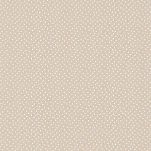 COLEÇÃO PARAQUEDISTA