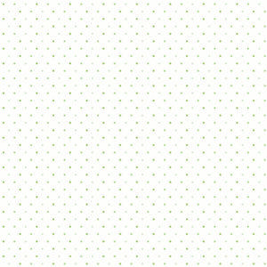 COLEÇÃO PRINCESA E O SAPO