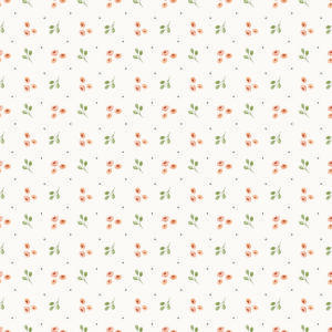 COLEÇÃO PRINCESA E O SAPO